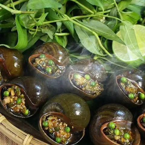 Hình ảnh Ốc Oanh - Trần Khắc Chân