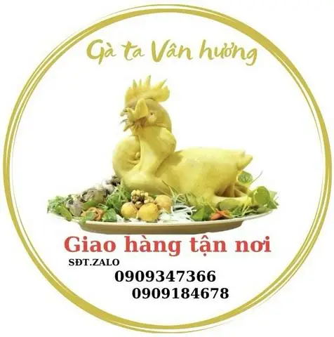 Hình ảnh Gà Ta Vân Hương - Trần Phú