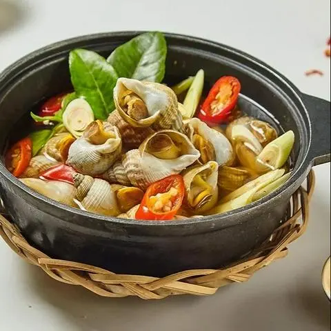 Hình ảnh ốc bulot hấp thái