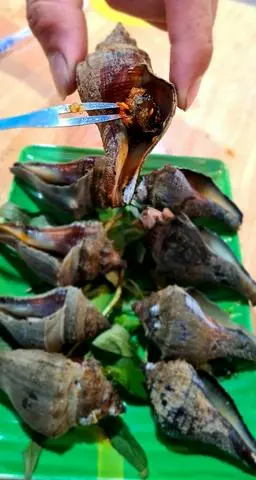 Hình ảnh Ốc búa nướng mắm ớt