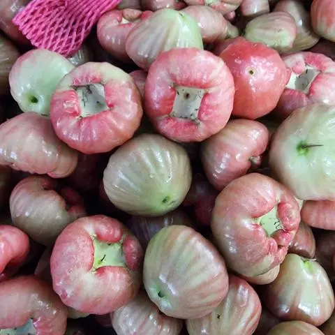 Hình ảnh Mận Thái