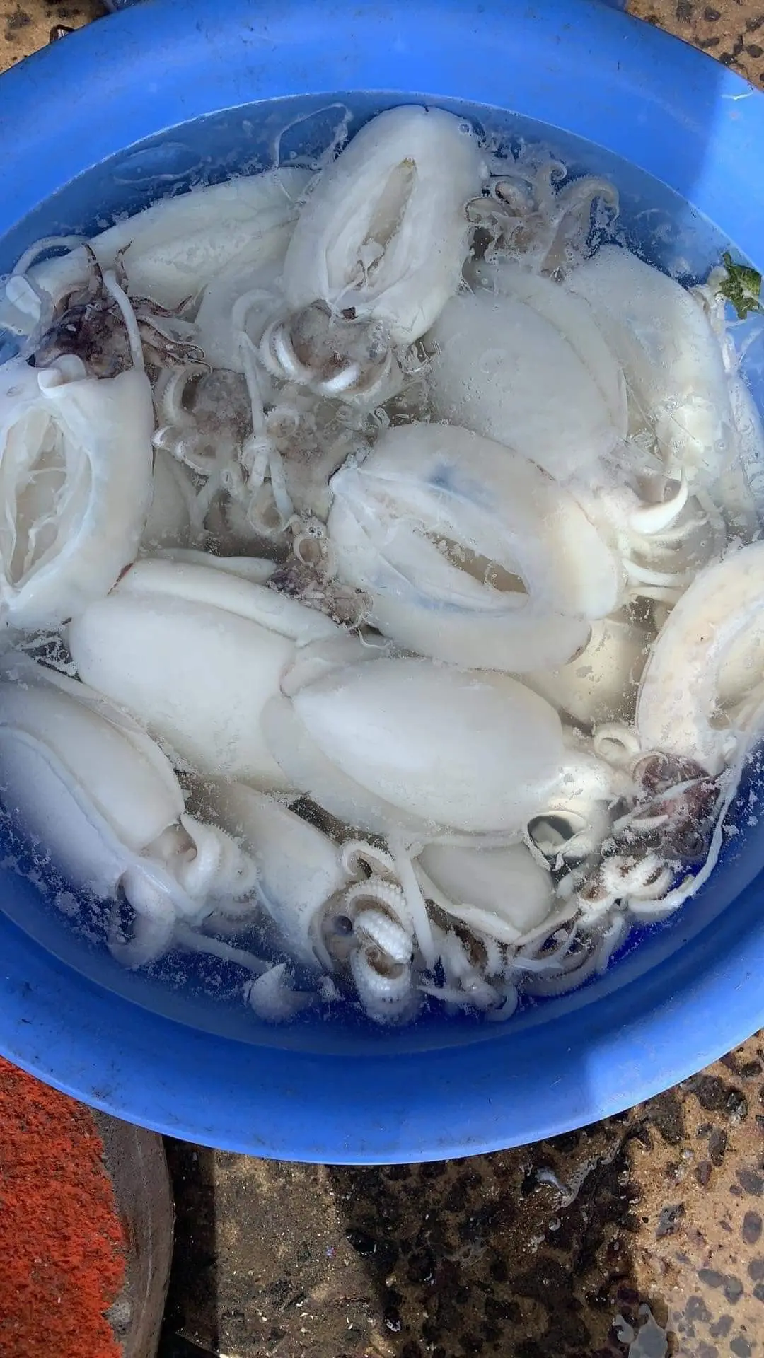 Hình ảnh Mực xào sa tế 