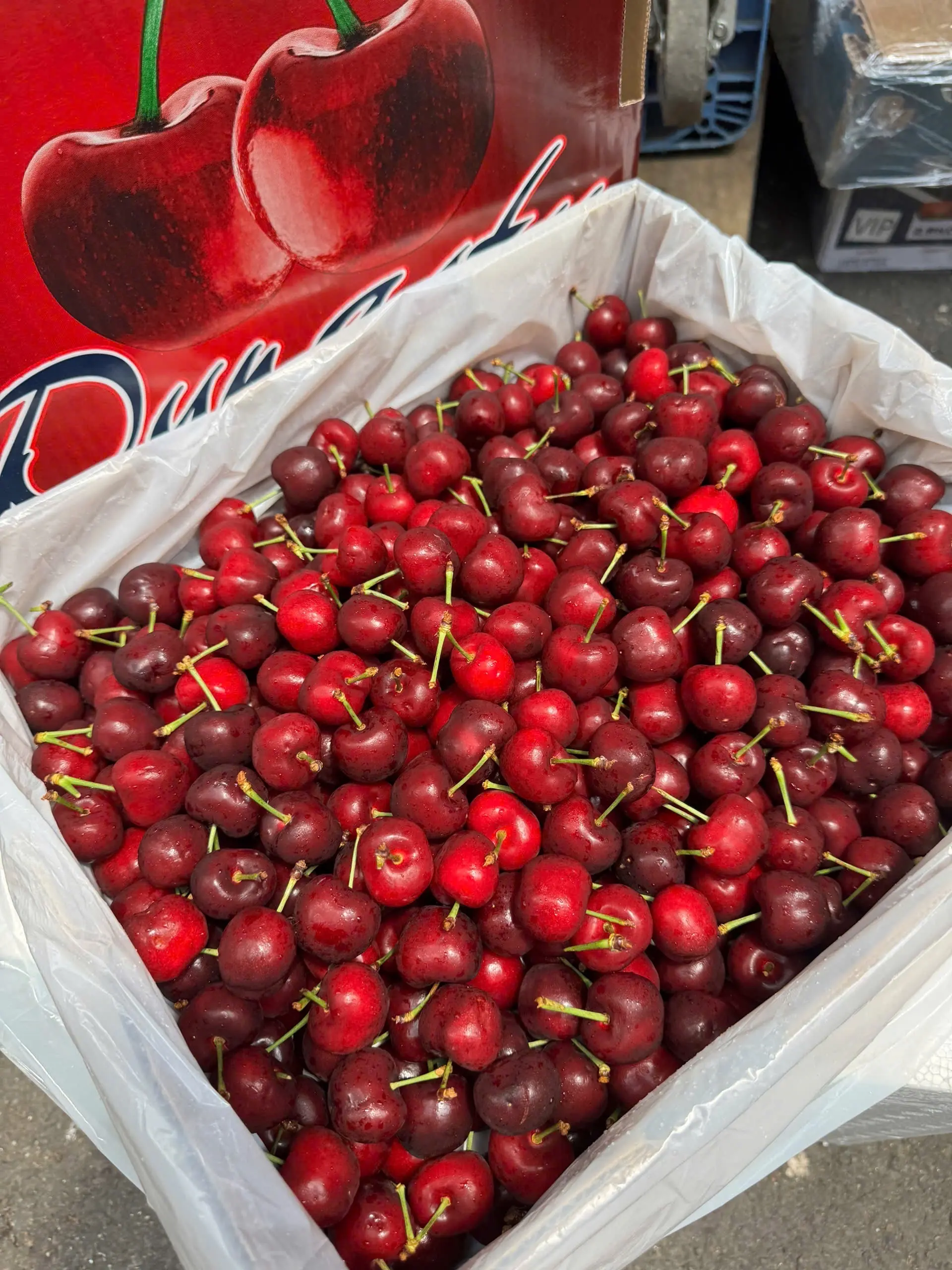 Hình ảnh Cherry Mỹ ( hộp 500gr )