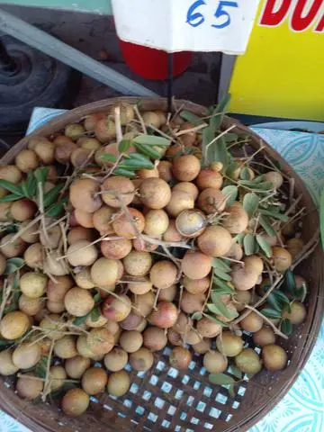 Hình ảnh nhản xuồng vĩnh châu ngon dòn ngot không thuốc 