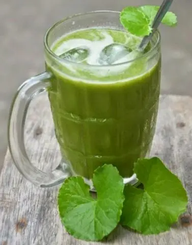 Hình ảnh RAU MÁ ĐẬU XANH( ly lớn)