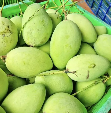 Hình ảnh Xoài Sống Cân Ký (0.9-1.2kg/ Xoài Chua)