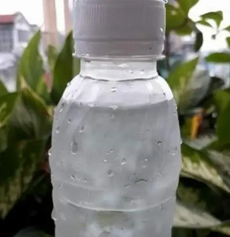 Hình ảnh Mủ trôm (chai)