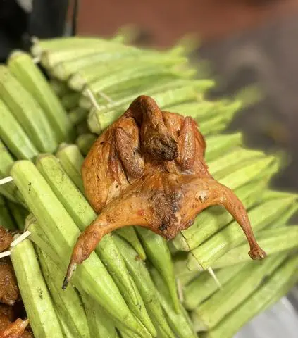 Hình ảnh Chim cút