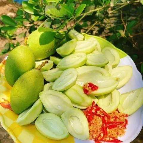 Hình ảnh Xoài non sống