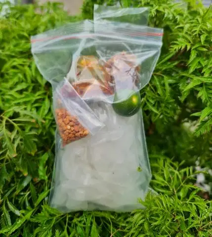 Hình ảnh Sate tỏi