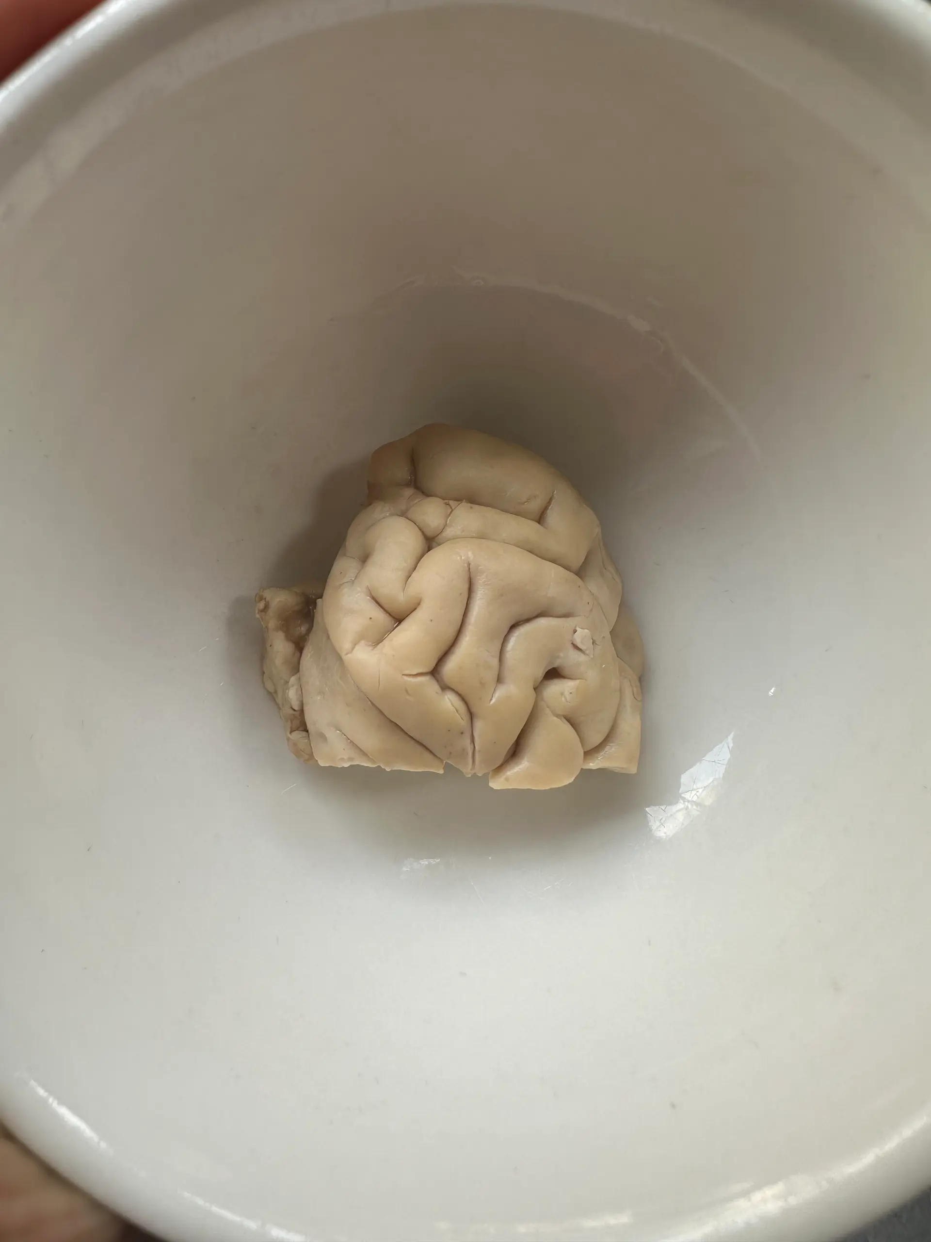 Hình ảnh Óc Heo Thêm (1/4 bộ óc)