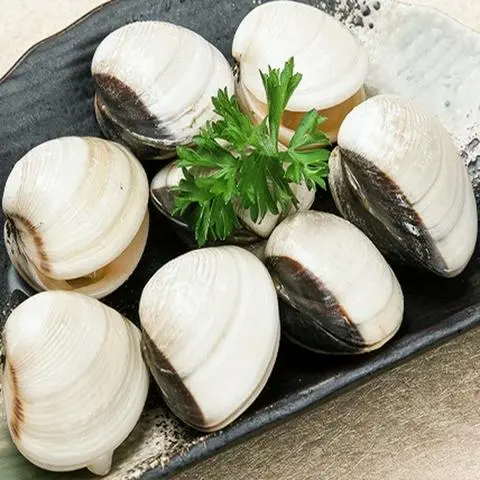 Hình ảnh Nghêu ( 3 con)