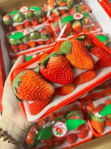 Hình ảnh Dâu Tây Hàn
