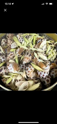 Hình ảnh ốc hương hấp xã 
