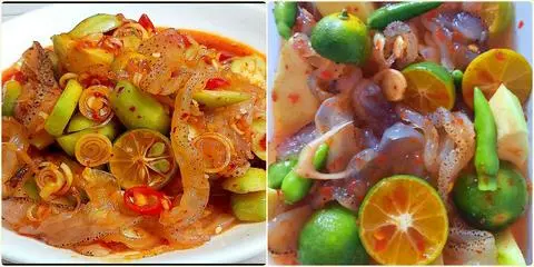 Hình ảnh sứa sốt thái 