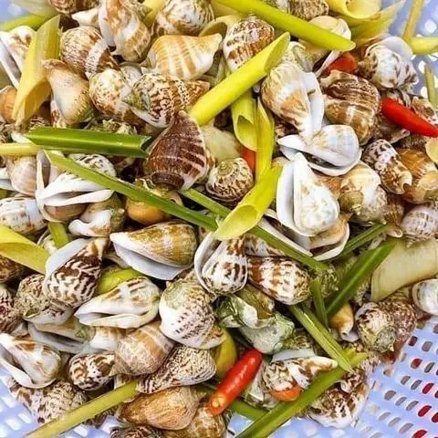 Hình ảnh Ốc nhảy hấp sả