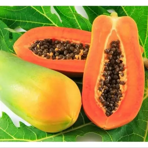 Hình ảnh Sinh tố đu đủ