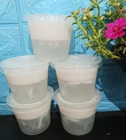 Hình ảnh combo 5ly Rau câu Dừa 
