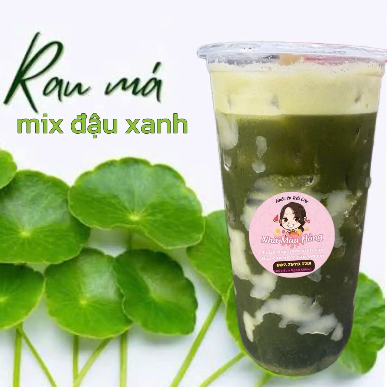 Hình ảnh Rau má đậu xanh khổng lồ