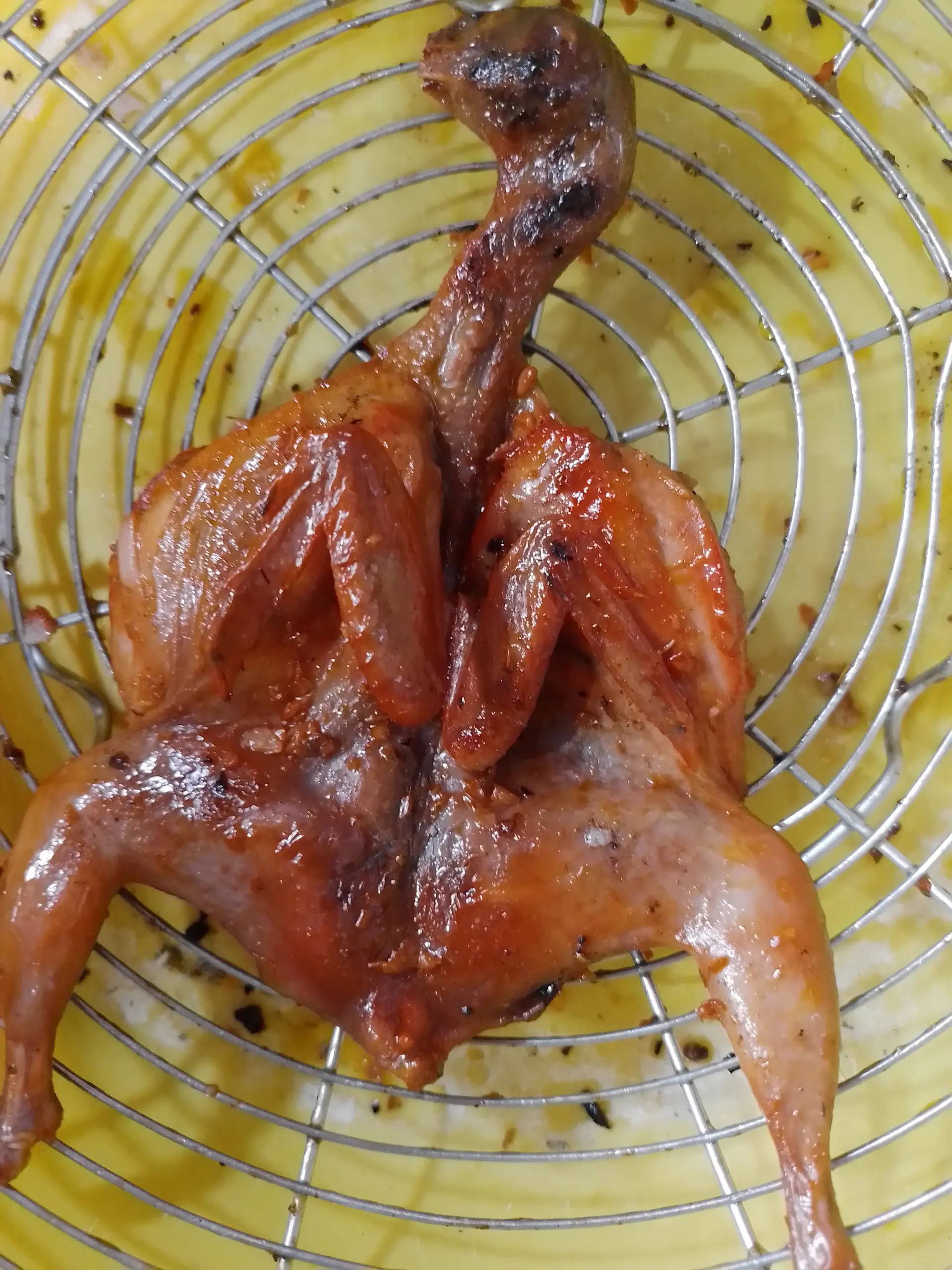 Hình ảnh chim cút