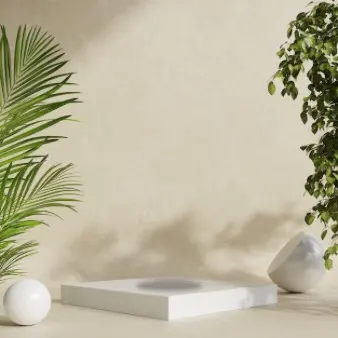 Hình ảnh Trà Xoài