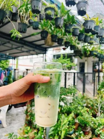 Hình ảnh Sữa tươi vi matcha mix trân châu 