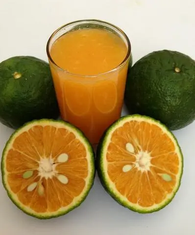 Hình ảnh Cam vắt ly 700ml