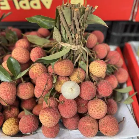 Hình ảnh Vải thiều Thanh Hà 500G