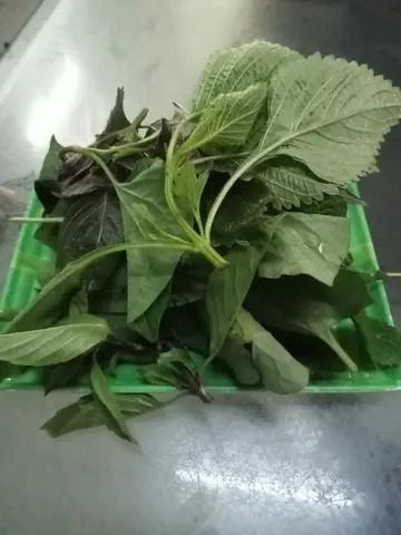 Hình ảnh Rau thơm 