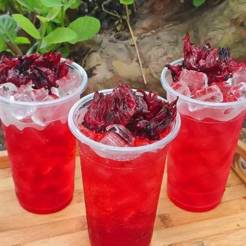 Hình ảnh TRÀ HOA ATISO ĐỎ ĐƯỜNG PHÈN