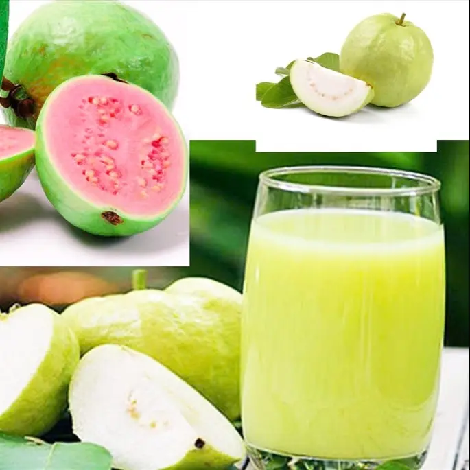 Hình ảnh Ép ổi 500ml
