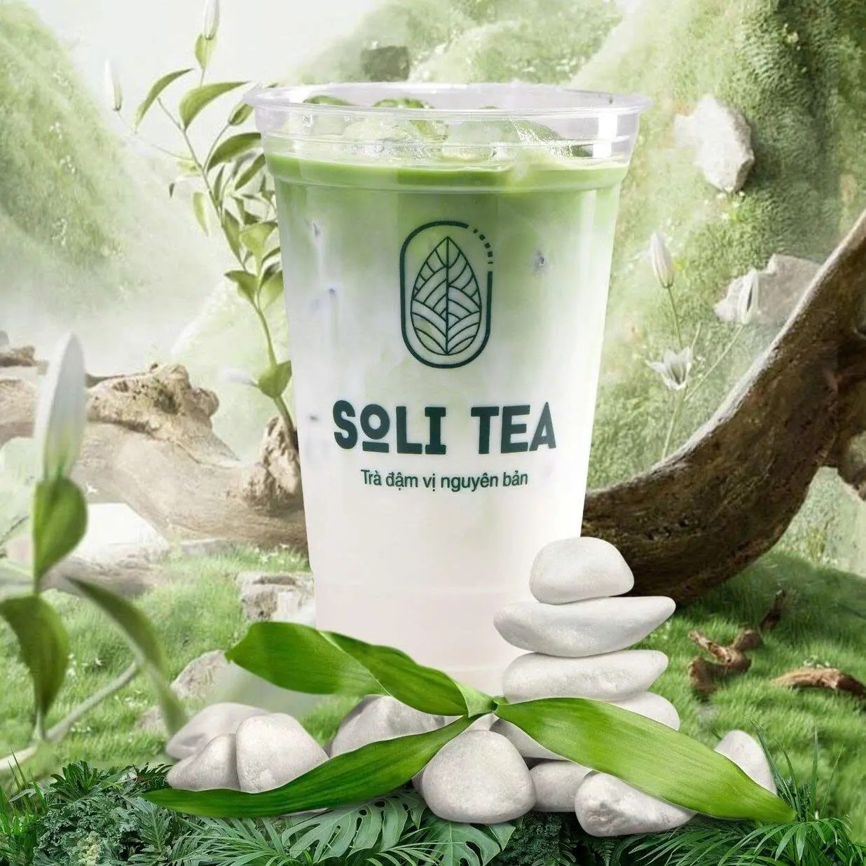 Hình ảnh Matcha Latte