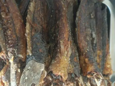 Hình ảnh ca tre mam gung