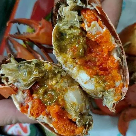 Hình ảnh Của Gạch Cà Mau