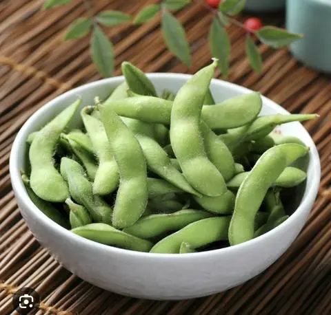 Hình ảnh ĐẬU NÀNH NHẬT