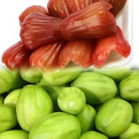 Hình ảnh Cóc - mận - kèm muối tôm