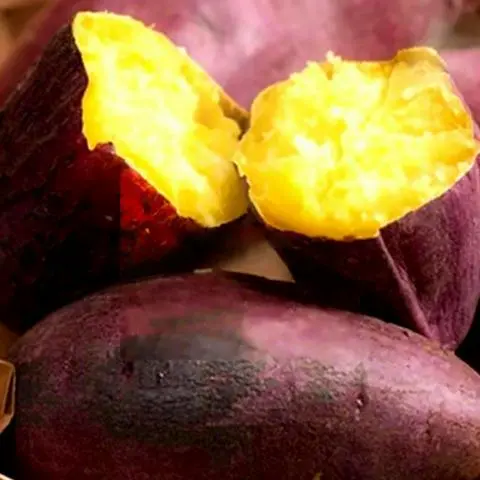 Hình ảnh Khoai lang Nhật hấp lá dứa- 500g