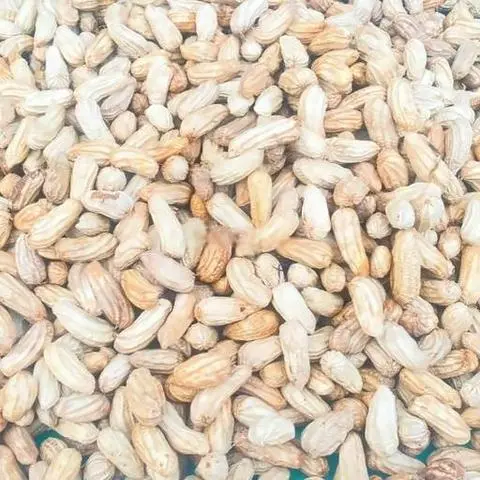 Hình ảnh Đậu phộng nấu - 300 gram