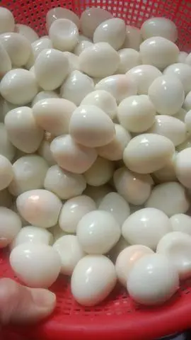 Hình ảnh trứng cút luộc 