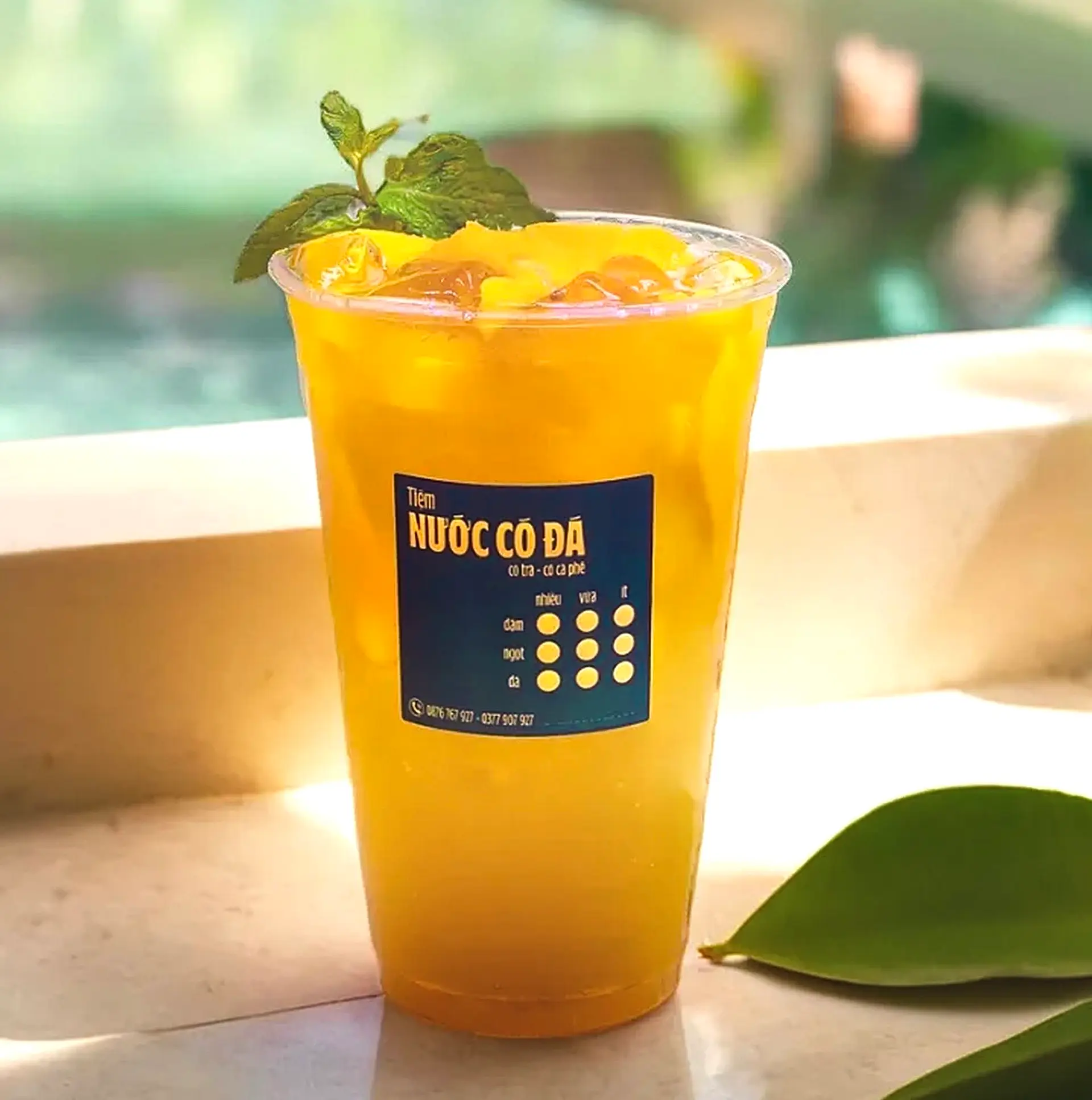 Hình ảnh Trà Xoài