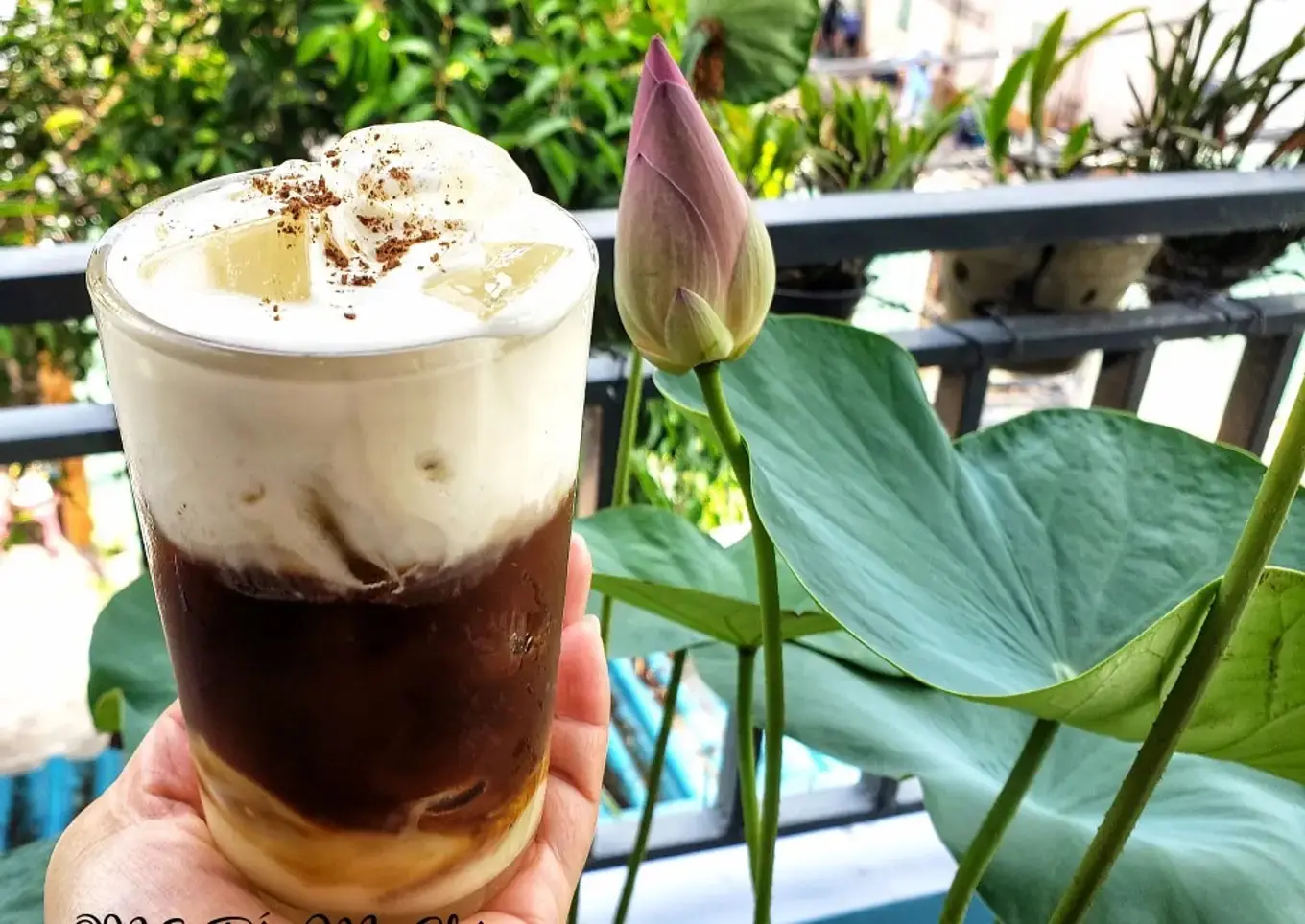 Hình ảnh Cacao muối