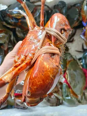 Hình ảnh Cua thịt lớn