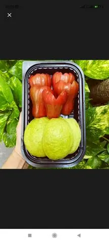 Hình ảnh Ổi +Mận