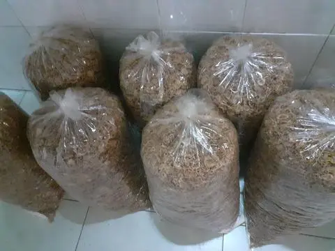 Hình ảnh hành phi