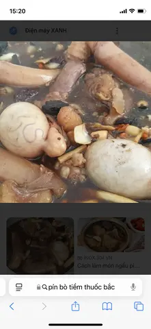 Hình ảnh Pín tiềm thuốc bắc