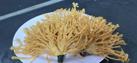 Hình ảnh Nấm kim châm xòe quạt