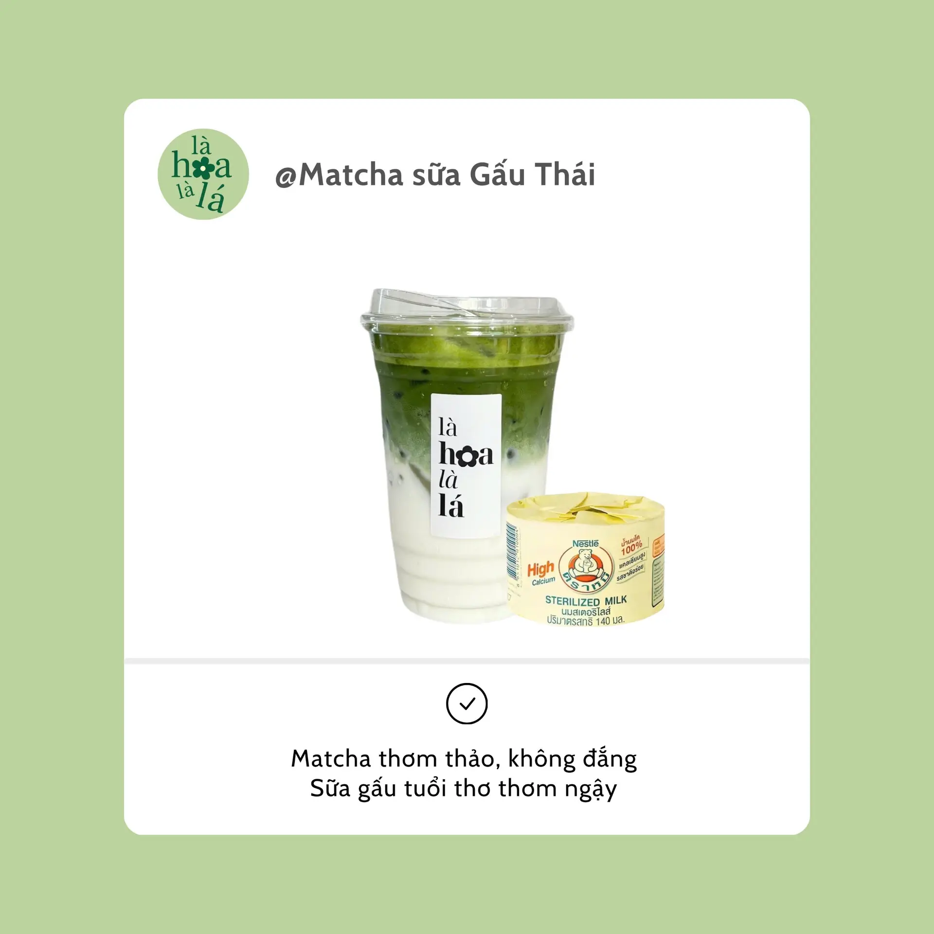 Hình ảnh Matcha Sữa Gấu Thái