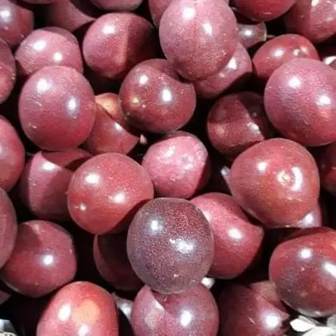 Hình ảnh sinh tố chanh day