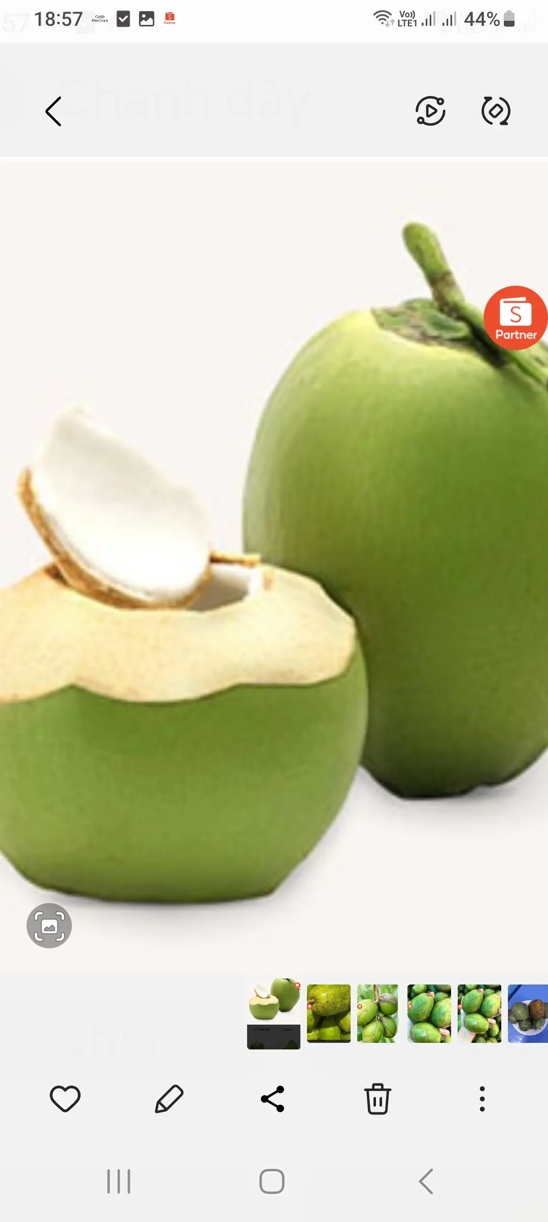 Hình ảnh dừa xiêm ươp lạnh