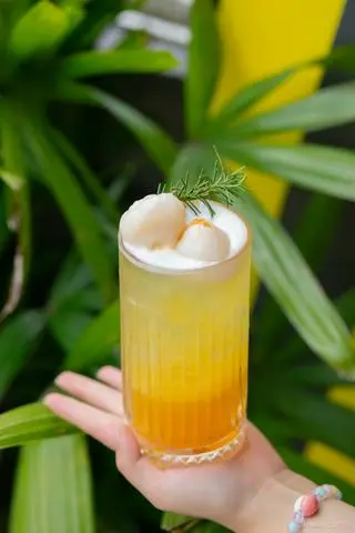 Hình ảnh Trà Vải Lục Ngạn